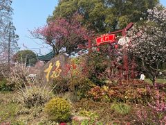 -无锡梅园公园