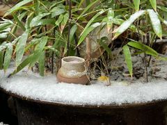 -普洱茶府(博乐广场店)