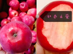 -山海关清和浑锅店