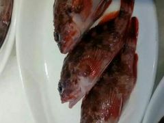 虎头鱼-舟山渔场(临安沙地路店)