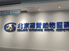 -北京观赏动物医院·24小时大型综合·猫专科·异宠专科