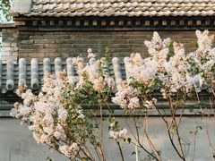 -三里河公园