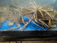 -徐记海鲜(大明宫|北二环店)