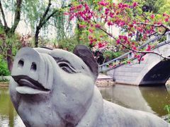 iphone_upload_pic-南汇桃花村