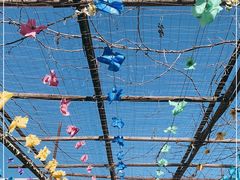 -亲兄弟真人CS团建拓展基地