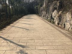 -巢湖姥山岛