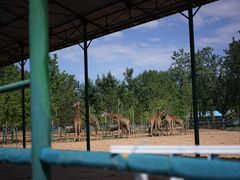 -秦皇岛野生动物园