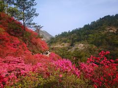 -木兰云雾山