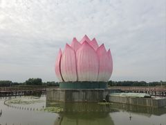 -白洋淀景区