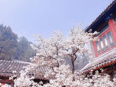 -潭柘寺景区