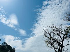 -白云山风景名胜区
