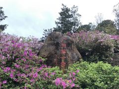 -广州市石门国家森林公园