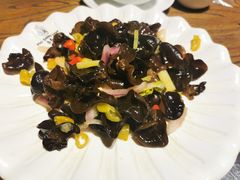 -老号尤兔头(玉堂店)