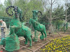 -长白岛森林公园