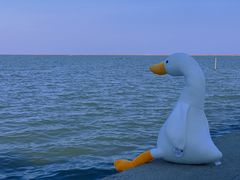 -碧海金沙