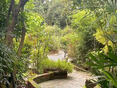 -谷咖啡·鲜花绿植花园餐厅