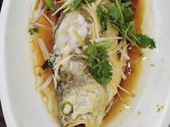 -望海潮海鲜店 特色家常菜(在海一方店)