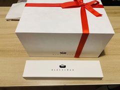 -BLACKSWAN黑天鹅(环球店)