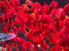 -常州海昌海洋探索馆