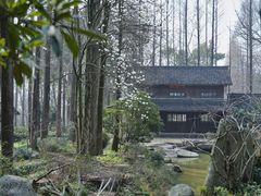 -杭州植物园
