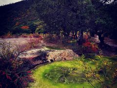 -白水台
