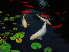 -白马涧龙池景区