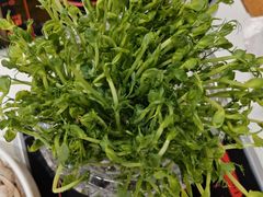 -草原传奇鲜羊火锅(桥北店)
