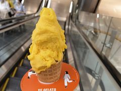 -野人先生现做冰淇淋(北京环宇荟店)