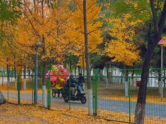 -长白岛森林公园