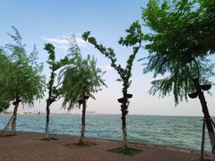 -小伟猪脚火锅店(颐园里店)