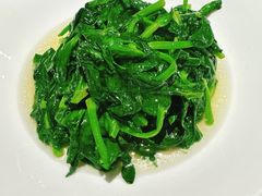 清炒大豆苗-四合·亦家本帮江浙小海鲜(马当路店)