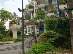 -上海雅居乐万豪侯爵酒店