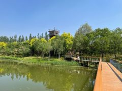 -东郊湿地公园