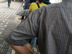 -同济大学附属口腔医院