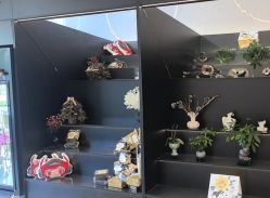 -哈妮皮肤管理中心