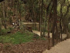 -惠山国家森林公园