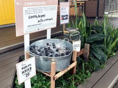 -ROAST coffee & eatery