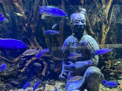 -华夏文旅海洋公园