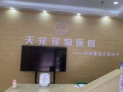-天宠宠物医院24小时·急重症诊疗中心·全科·腔镜特色(和平分院)