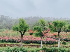 -黄陂区野村谷景区