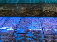 -海韵之星邮轮水会(明发商业广场店)