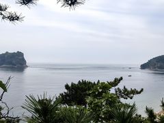 -棒棰岛宾馆景区