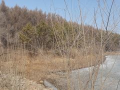 -长春净月潭风景名胜区