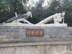-抱犊寨风景区