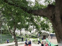 -成都市活水公园