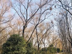 -洛阳市隋唐城遗址植物园