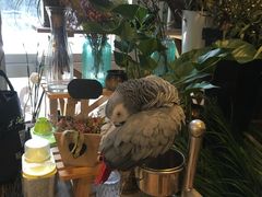 -森野花艺培训·企业团建活动沙龙