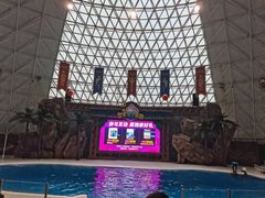-皇家海洋乐园