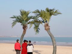 -巧克力渔家.小船海鲜家常菜(万平口店)