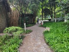 -重庆彩云湖湿地公园